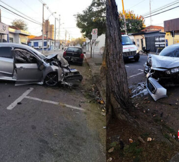 Carro bate em arvoré em salto cópia