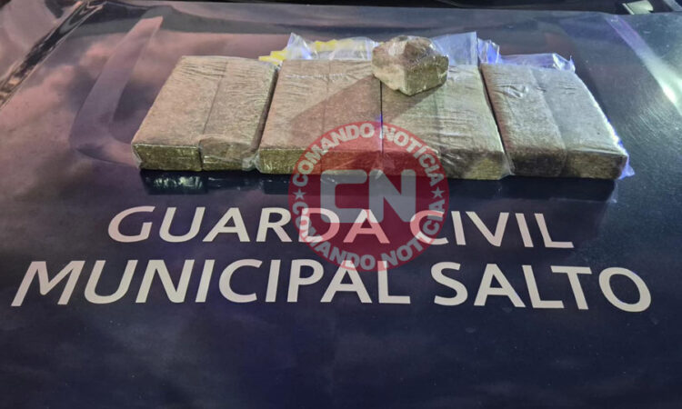 8 tijolos de maconha com motorista aplicativo salto