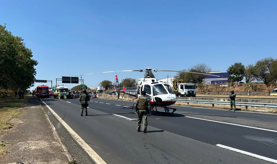 Aguia anhanguera celta pane 2 cópia