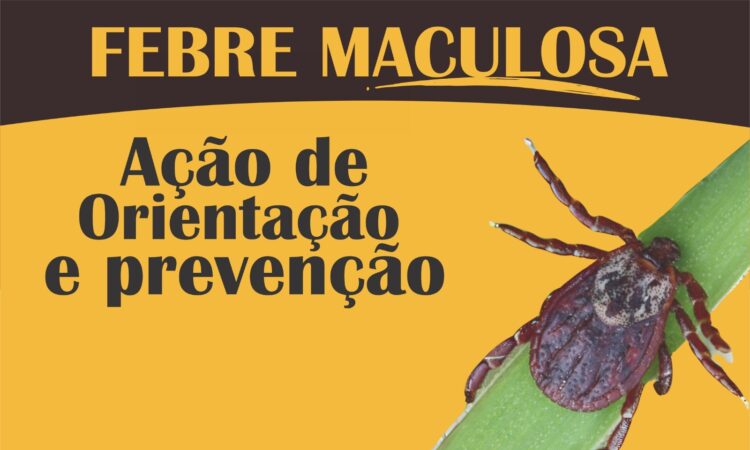 Arte orientacao febre maculosa
