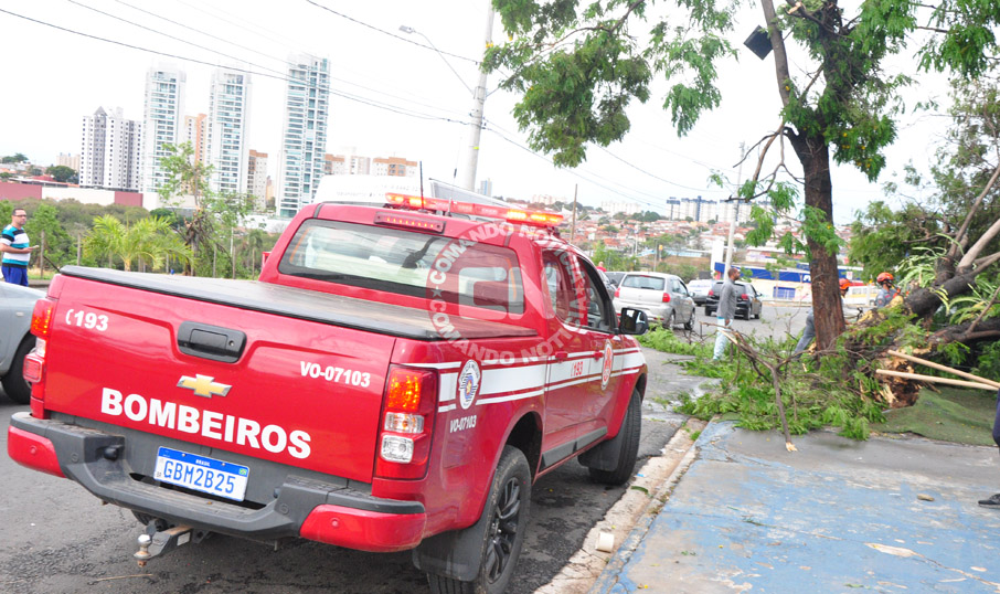 Bombeiros queda arvores
