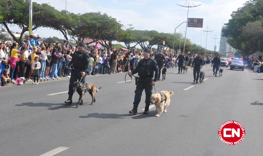 Canil desfile 7 setembro 2025