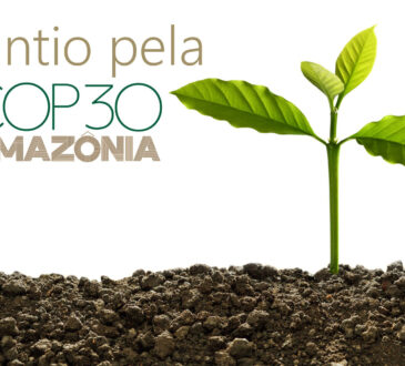 Cop 30 plantio indaiatuba