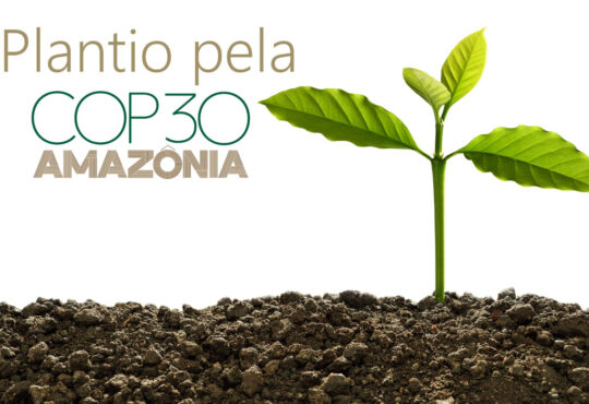 Cop 30 plantio indaiatuba
