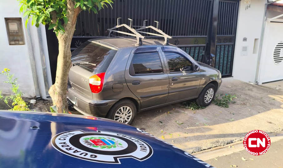 Palio desce rua desgovernado tucano cópia
