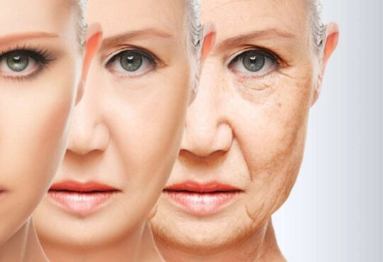Tecnica facial rta comunicação