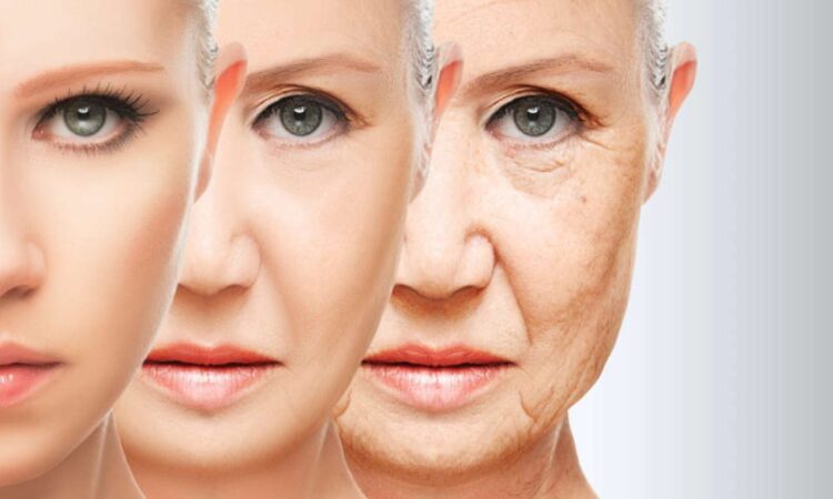Tecnica facial rta comunicação