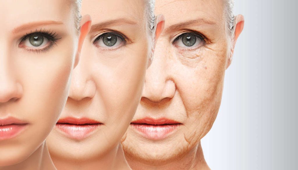 Tecnica facial rta comunicação