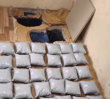 50 kilos ccaina campinas