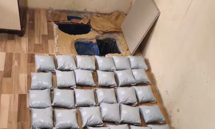 50 kilos ccaina campinas