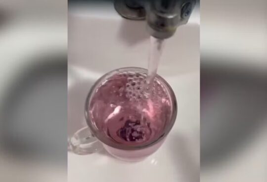 Agua rosa itu