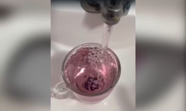 Agua rosa itu