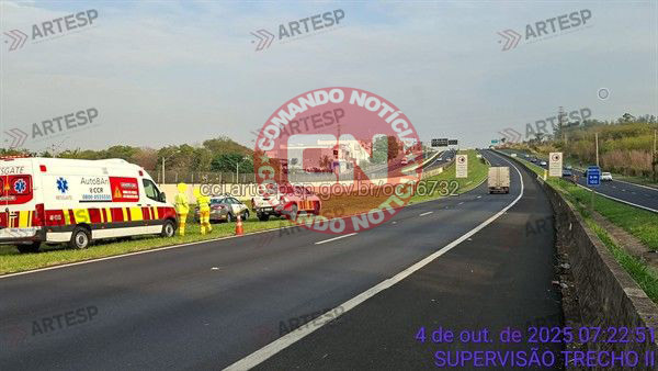Andarilho atropelado cópia