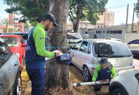 Aval.fitossanitaria1