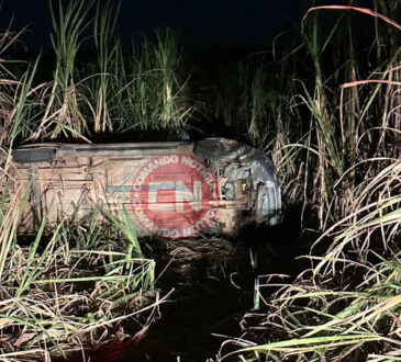Capotamento cardeal picape cópia