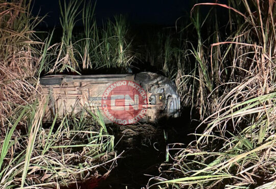 Capotamento cardeal picape cópia