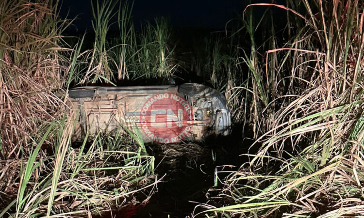 Capotamento cardeal picape cópia