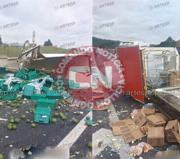 Carga abacate tomba na bandeirantes