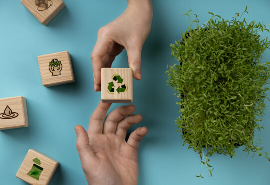 Desmatamento freepik