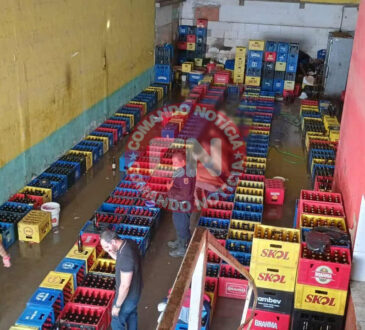 Gm de campians falsificcação de bebidas 1 cópia