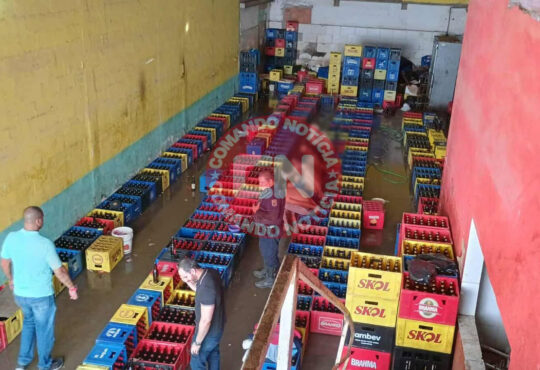 Gm de campians falsificcação de bebidas 1 cópia