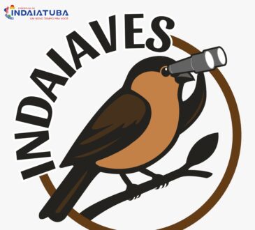 Indaiaves.2