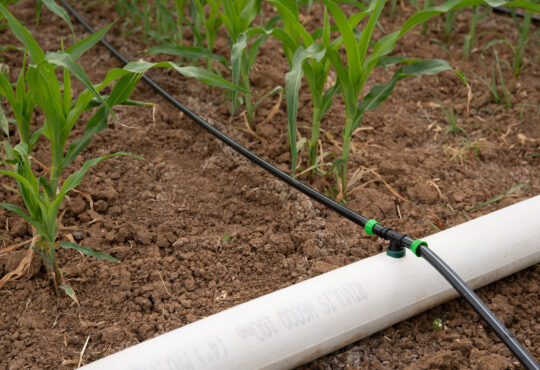 Irrigação rivulis