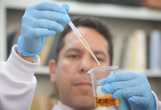 Metanol governo de sp