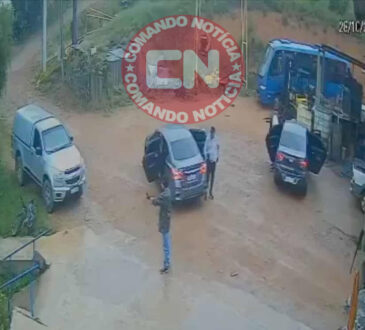 Roubo de armas em vinhedo 1