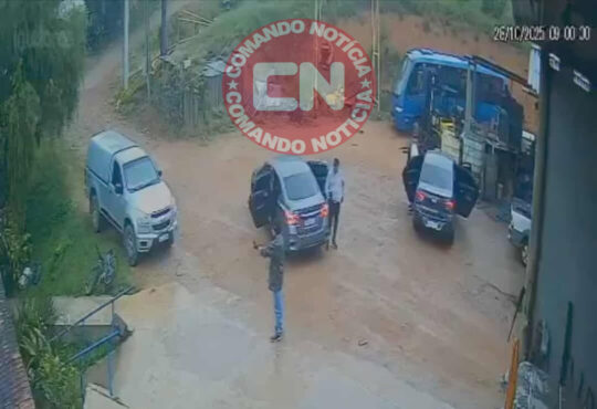 Roubo de armas em vinhedo 1