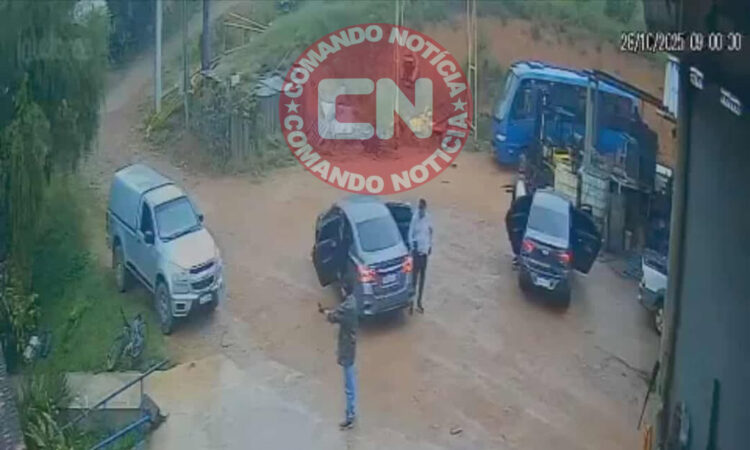 Roubo de armas em vinhedo 1