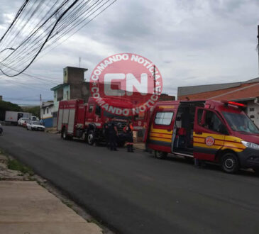 192 e 193 rua 50 pcr