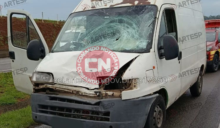 Andarilho morre em rodovia d pedro