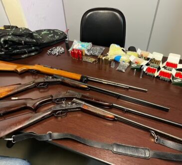 Armas roubadas em vinhedo pc