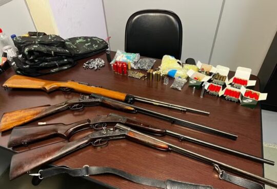 Armas roubadas em vinhedo pc