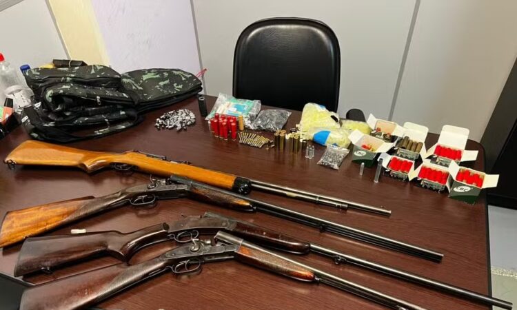 Armas roubadas em vinhedo pc