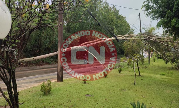 Arvore cai em rodovia parque indaia 1
