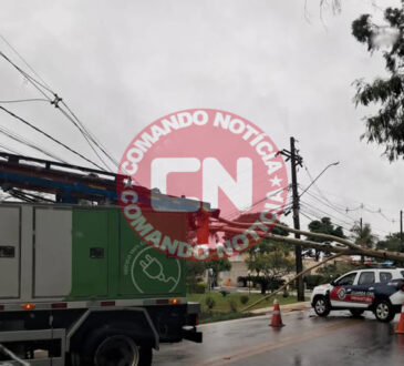 Arvore cai em rodovia parque indaia