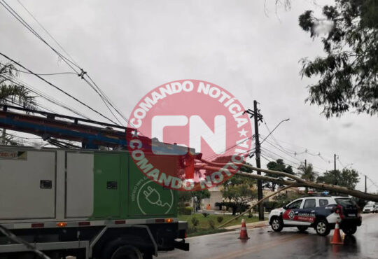 Arvore cai em rodovia parque indaia