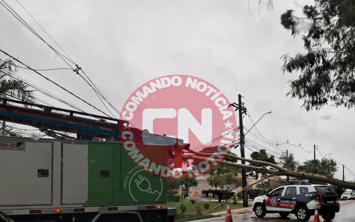 Arvore cai em rodovia parque indaia