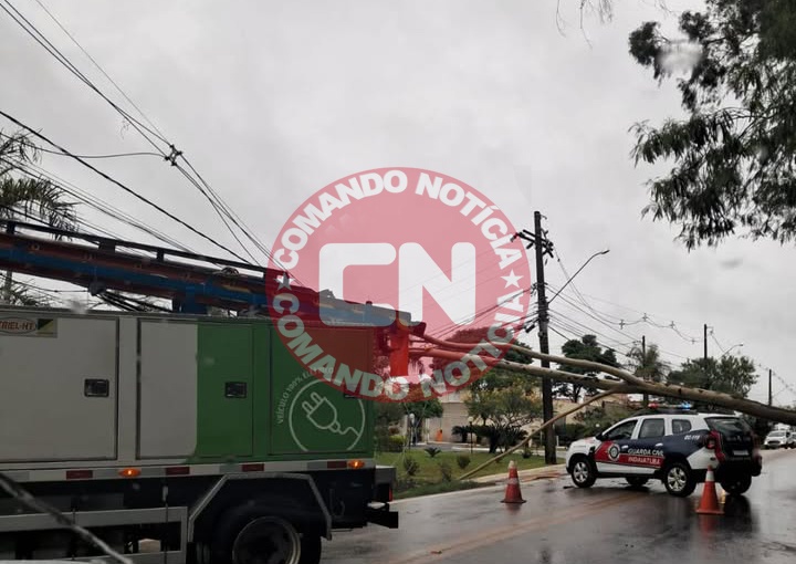 Arvore cai em rodovia parque indaia