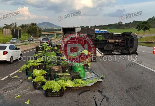 Caminhão de verduras tomba na castelo cópia