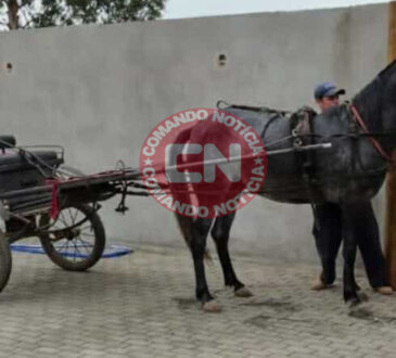 Egua furta em elias fausto
