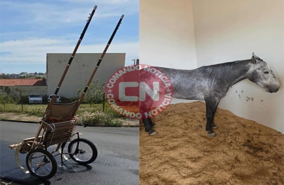 Egua furta em elias fausto 4