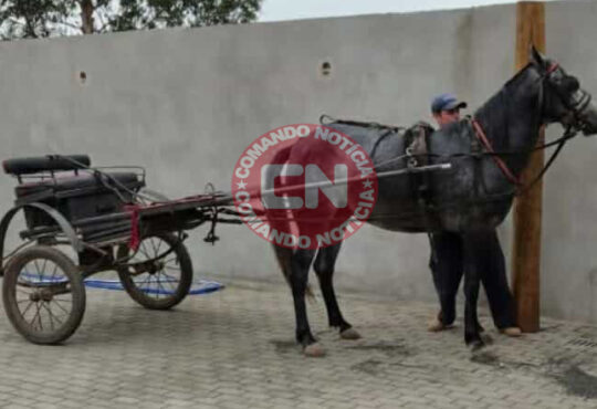 Egua furta em elias fausto