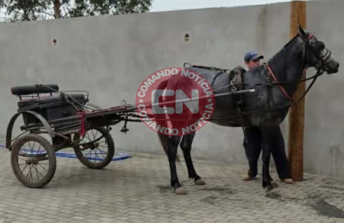 Egua furta em elias fausto