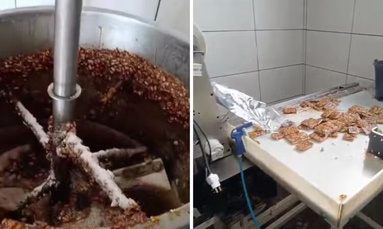 Fabrica clandestina de doce jd itaguaÇu