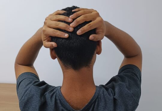 Luiza fruet uninassau