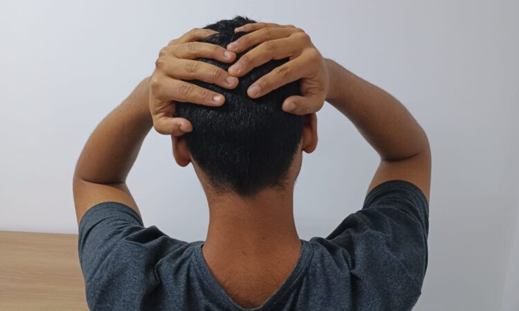 Luiza fruet uninassau