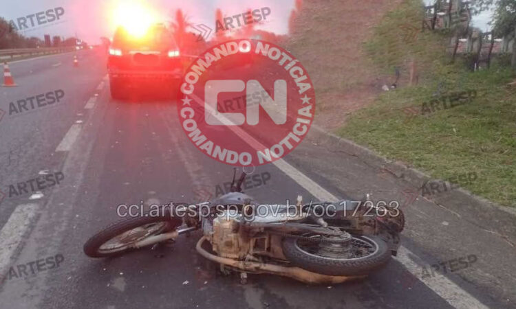 Motciclista morre ao colidir cavalo cerquilho 1